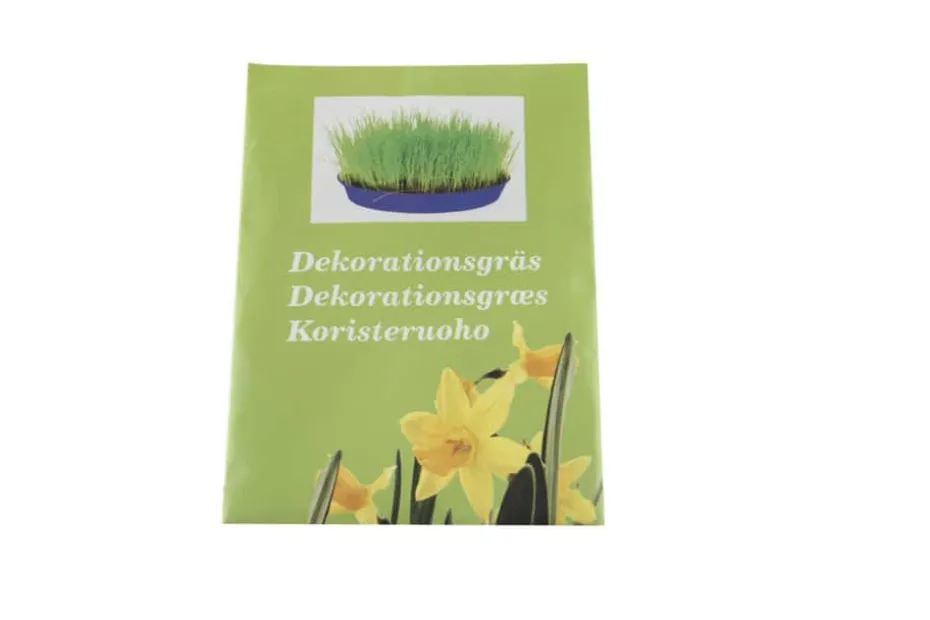 Pyntegress Timotei gressfrø