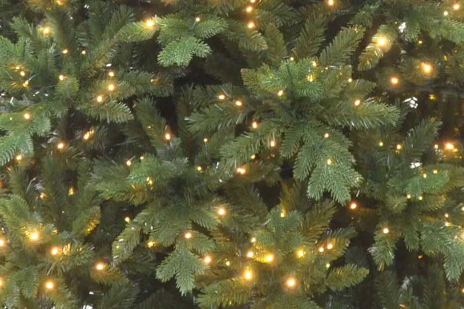 Setskog juletre 300 cm