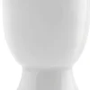 SPiiS eggeglass