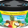Wunder-Baum Fiber Can med tropiske dufter